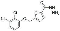 5-(2,3-DICHLORO-PHENOXYMETHYL)-FURAN-2-CARBOXYLIC ACID HYDRAZIDE Struktur