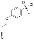 4-(2-CYANO-ETHOXY)-BENZENESULFONYL CHLORIDE Struktur