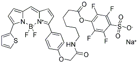 BODIPY(R) TR-X, STP ESTER, SODIUM SALT Struktur