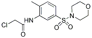 2-CHLORO-N-[2-METHYL-5-(MORPHOLINE-4-SULFONYL)-PHENYL]-ACETAMIDE Struktur