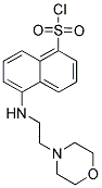 5-(2-MORPHOLIN-4-YL-ETHYLAMINO)-NAPHTHALENE-1-SULFONYL CHLORIDE Struktur