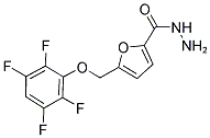 5-(2,3,5,6-TETRAFLUORO-PHENOXYMETHYL)-FURAN-2-CARBOXYLIC ACID HYDRAZIDE Struktur