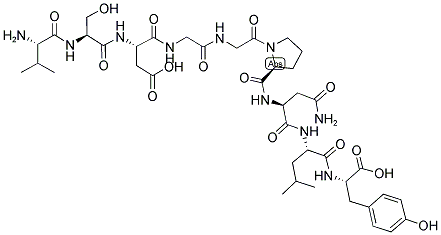 CEF24 Struktur