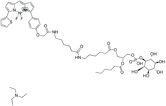 BODIPY(R) TR-X C6-PHOSPHATIDYLINOSITOL, TRIETHYLAMMONIUM SALT Struktur