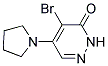 4-BROMO-5-(1-PYRROLIDINYL)-3(2H)-PYRIDAZINONE Struktur