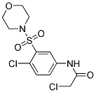 2-CHLORO-N-[4-CHLORO-3-(MORPHOLINE-4-SULFONYL)-PHENYL]-ACETAMIDE Struktur