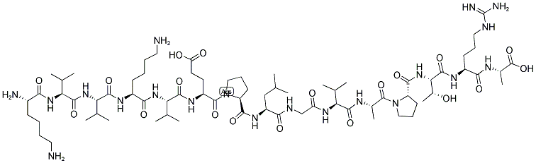 GP120-W61D-124 Struktur