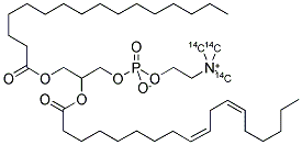 PHOSPHATIDYLCHOLINE, 1-ALPHA-PALMITOYL, 2-LINEOLEOYL [METHYL-14C] Struktur