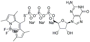 BODIPY(R) 515/530 GTP-GAMMA-S, THIOESTER, SODIUM SALT Struktur