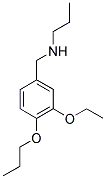 N-(3-ETHOXY-4-PROPOXYBENZYL)-N-PROPYLAMINE Struktur