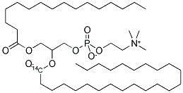 PHOSPHATIDYLCHOLINE, 1-ALPHA-PALMITOYL-, 2-LIGNOCERYL [LIGNOCERYL-1-14C] Struktur