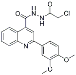 N'-(CHLOROACETYL)-2-(3,4-DIMETHOXYPHENYL)QUINOLINE-4-CARBOHYDRAZIDE Struktur