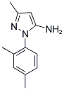 1-(2,4-DIMETHYLPHENYL)-3-METHYL-1H-PYRAZOL-5-AMINE Struktur