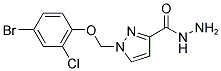 1-(4-BROMO-2-CHLORO-PHENOXYMETHYL)-1 H-PYRAZOLE-3-CARBOXYLIC ACID HYDRAZIDE Struktur