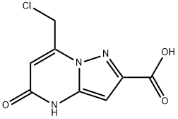 7-CHLOROMETHYL-5-OXO-4,5-DIHYDRO-PYRAZOLO[1,5-A ]PYRIMIDINE-2-CARBOXYLIC ACID Struktur