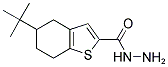 5-TERT-BUTYL-4,5,6,7-TETRAHYDRO-1-BENZOTHIOPHENE-2-CARBOHYDRAZIDE Struktur