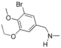 1-(3-BROMO-5-ETHOXY-4-METHOXYPHENYL)-N-METHYLMETHANAMINE Struktur