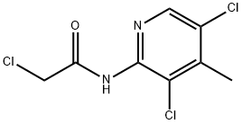 2-CHLORO-N-(3,5-DICHLORO-4-METHYL-PYRIDIN-2-YL)-ACETAMIDE Struktur