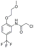 2-CHLORO-N-[2-(2-METHOXY-ETHOXY)-5-TRIFLUOROMETHYL-PHENYL]-ACETAMIDE Struktur