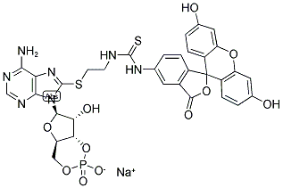 8-FLUO-CAMP SODIUM SALT Struktur