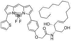 BODIPY(R) TR C5-CERAMIDE COMPLEXED TO BSA Struktur