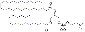 PHOSPHATIDYLCHOLINE, L-ALPHA-1-PALMITOYL-2-LIGNOCERYL, [LIGNOCERYL-1-14C] Struktur