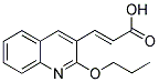 (2E)-3-(2-PROPOXYQUINOLIN-3-YL)ACRYLIC ACID Struktur