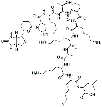 BIOTIN-PKTPKKAKKL Struktur