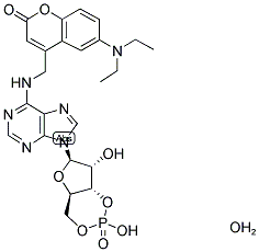 (7-DIETHYLAMINOCOUMARIN-4-YL)METHYL ADENOSINE-3',5'-CYCLIC MONOPHOSPHATE, HYDRATE Struktur