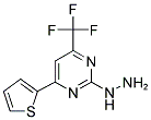 (4-THIOPHEN-2-YL-6-TRIFLUOROMETHYL-PYRIMIDIN-2-YL)-HYDRAZINE Struktur