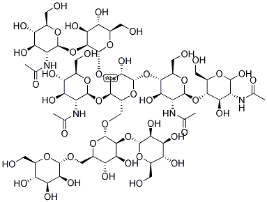 HYBRID WITH BISECTING GLCNAC Struktur