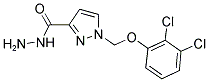 1-(2,3-DICHLORO-PHENOXYMETHYL)-1 H-PYRAZOLE-3-CARBOXYLIC ACID HYDRAZIDE Struktur