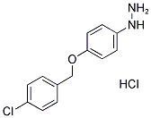 (4-[(4-CHLOROBENZYL)OXY]PHENYL)HYDRAZINE HYDROCHLORIDE Struktur