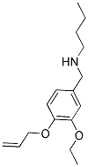 N-[4-(ALLYLOXY)-3-ETHOXYBENZYL]-N-BUTYLAMINE Struktur