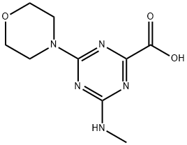 4-METHYLAMINO-6-MORPHOLIN-4-YL-[1,3,5]TRIAZINE-2-CARBOXYLIC ACID Struktur