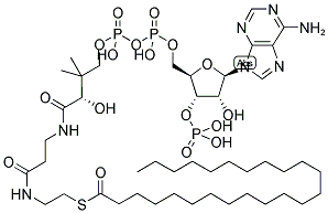 LIGNOCERYL COENZYME A Struktur