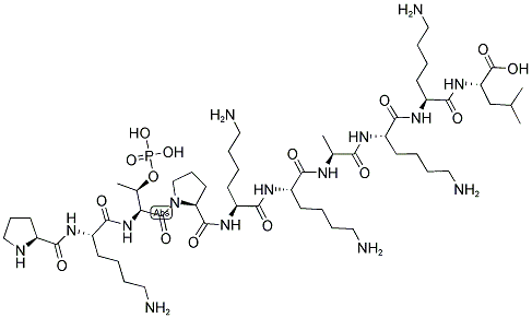 CDK5 SUBSTRATE [PK-PT-PKKAKKL], PHOSPHORYLATED Struktur