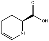 (S)-1,2,3,4-TETRAHYDRO-PYRIDINE-2-CARBOXYLIC ACID Struktur