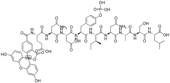 5-FAM-END-PY-INASL Struktur