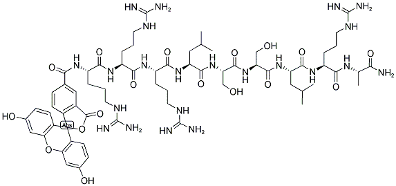 5-FAM-ARG-ARG-ARG-LEU-SER-SER-LEU-ARG-ALA-NH2 Struktur