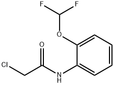 2-CHLORO-N-(2-DIFLUOROMETHOXY-PHENYL)-ACETAMIDE Struktur