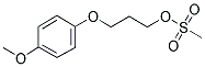 3-(4-METHOXYPHENOXY)-PROPYL METHANESULFONATE Struktur