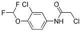 2-CHLORO-N-(3-CHLORO-4-DIFLUOROMETHOXY-PHENYL)-ACETAMIDE Struktur