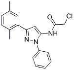 2-CHLORO-N-[3-(2,5-DIMETHYLPHENYL)-1-PHENYL-1H-PYRAZOL-5-YL]ACETAMIDE Struktur