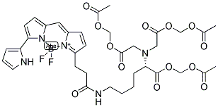 CELLTRACE(TM) CALCEIN RED-ORANGE, AM Struktur