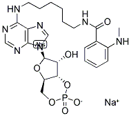 6-MAH-CAMP SODIUM SALT Struktur