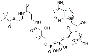 ISOBUTYRYL COENZYME A [ISOBUTYRYL-2-3H] Struktur