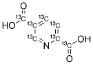 2,5-PYRIDINEDICARBONYL ACID-13C7 Struktur