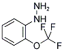 (2-TRIFLUOROMETHOXY-PHENYL)-HYDRAZINE Struktur