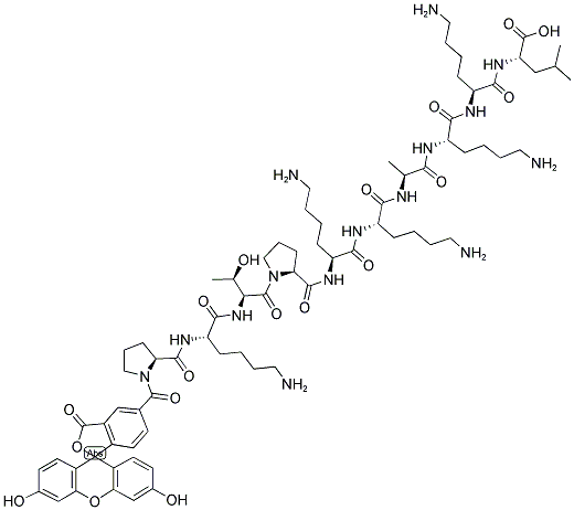 5-FAM-PKTPKKAKKL Struktur
